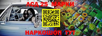 крисы Беслан