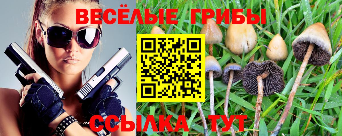 Галлюциногенные грибы Magic Shrooms  Вход с VPN  Волжский 