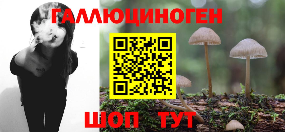 Псилоцибиновые грибы Cubensis Волжский